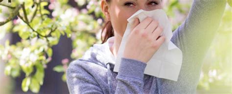 Primavera Consigli Per Le Allergie Respiratorie Ai Pollini HuffPost