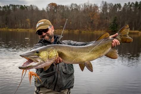 Wisconsin Fly Fishing For Musky Trip Report Montana Angler