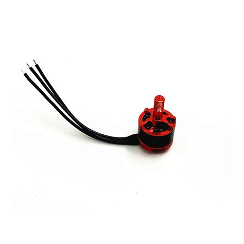 Pcs Kv S Brushless Motor Cw Ccw For Reptile Cloud