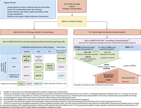 Pharmacologic Glycemic Management Of Type 2 Diabetes In Adults 2020