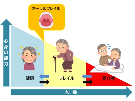 老化はお口から始まります～オーラルフレイル 東船橋の歯医者「ビバ歯科･矯正小児歯科」