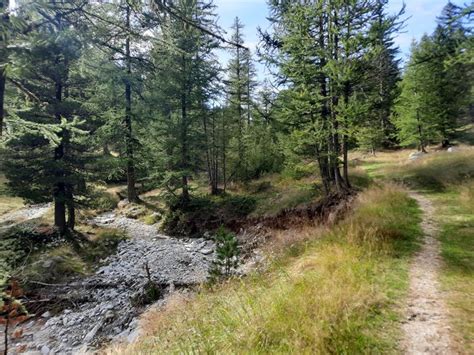 Parco Nazionale Del Mercantour L Eccellenza Della Biodiversit Traveleat