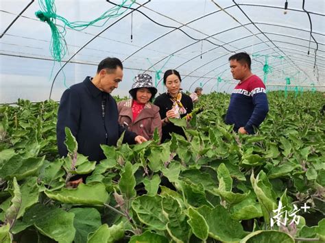 为推动乡村振兴夯实人才基础 连山关工委到阳山开展调研交流 房产资讯 房天下