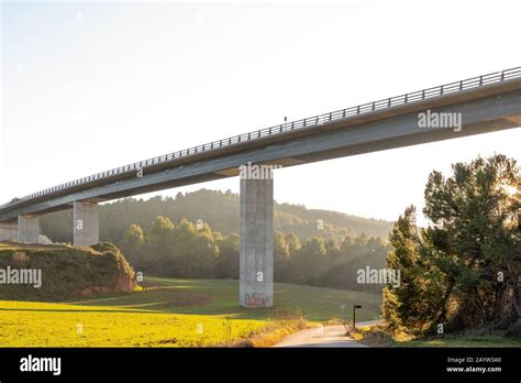 bridge structure    background forest stock photo alamy