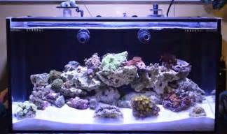 Innovative Marine 20 Gallon Fusion Beginners Discussion Nano Reef