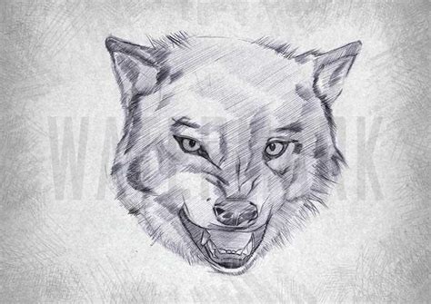 Animal Pencil Sketch - option to Download by DesignWood on DeviantArt