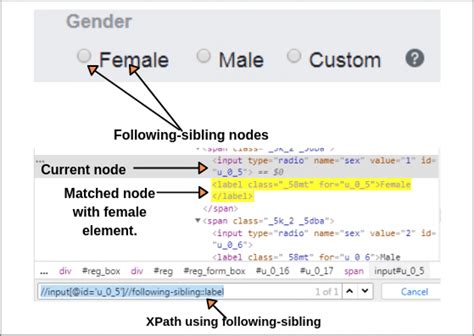 How To Write Xpath In Selenium