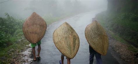 The Secret Of World's Rainiest Place Mawsynram Which Is Also World's ...