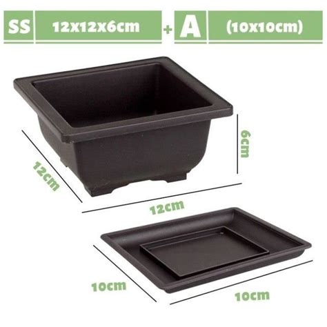 Pot De Fleur Ss X Tray A Pot De Fleurs Succulentes En Plastique