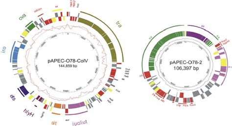 Map Of The Large Virulence Plasmids Of Apec O The Outer Circle