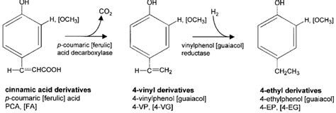 Pathway For The Biotransformation Of Cinnamic Acid Derivatives By L