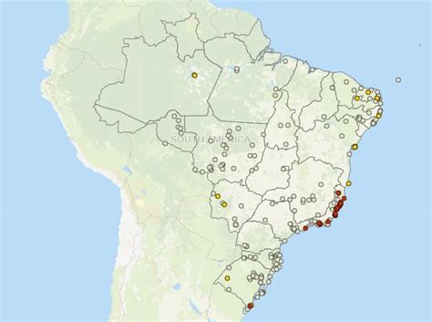 Mapa Disponibiliza Painel Sobre Focos Confirmados De Influenza Avi Ria