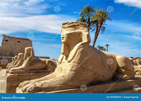 Sphinx Allee In Luxor Egypt Editorial Stock Photo Image Of Culture