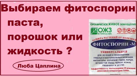 Выбираем фитоспорин: паста,порошок или жидкость - YouTube