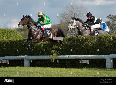 Steeplechase horses hi-res stock photography and images - Alamy