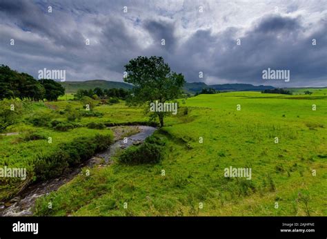 Landscape in the Scottish Lowlands Scotland UK Stock Photo - Alamy