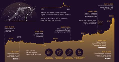 beginning   bitcoin bull run visual capitalist
