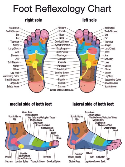 Reflexology History What To Expect Benefits And After Care