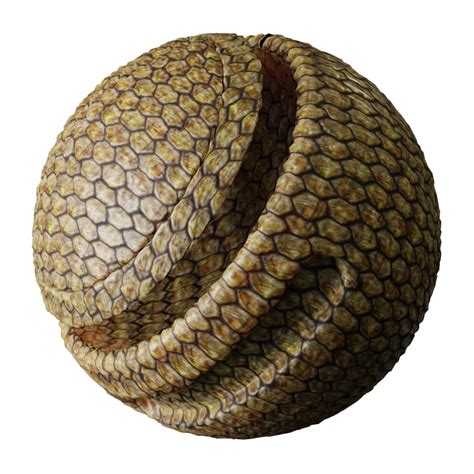 Reptile Skin Lizard Scales 2 Free Animal Materials Blenderkit