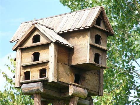 What To Put Inside A Birdhouse Avoid These