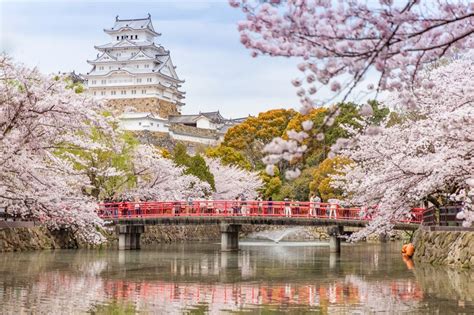 The Best Places To See Cherry Blossoms In Japan The X Tickets