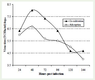 Growth Kinetics Of Rabies Virus In Bhk Cells Using Fluorescent