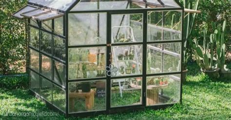 8 Best Small Greenhouse Kits To Grow This Winter in Small Spaces