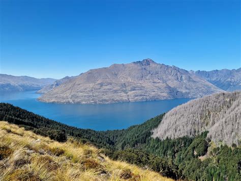 Ben Lomond Track in Queenstown: Ultimate Hiking Guide (2025)