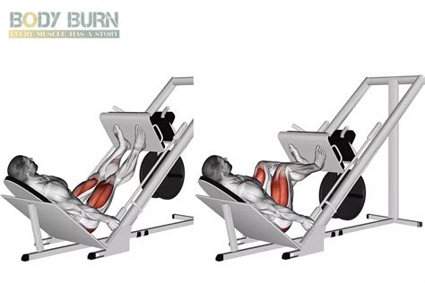 Presse Cuisses Inclin E Exercices Body Burn