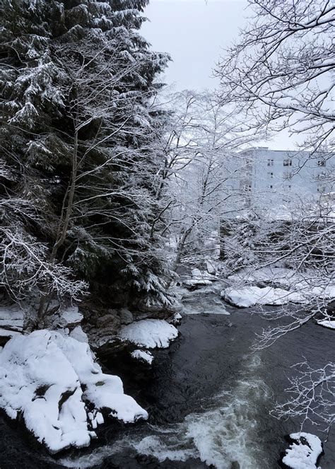 Snow Day in Ketchikan, Alaska | Southeast Sea Kayaks