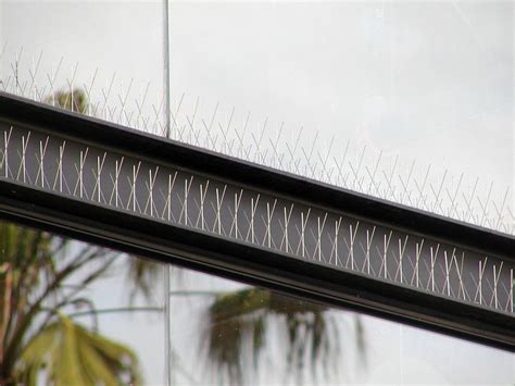 Polycarbonate Birds Bird Edge Spikes For Residential Commercial Size