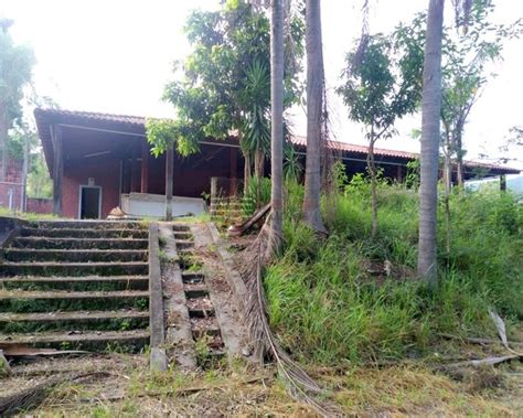 Chácara a Venda no Borda da Mata em Caçapava Terrenos sítios e