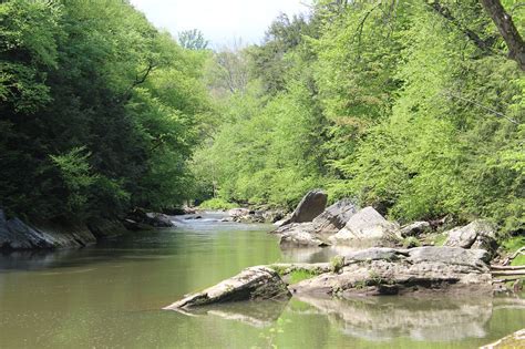 Creek Stream Trees Free Photo On Pixabay Pixabay