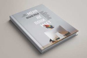 Просить не вредно: книга Фактор алладина – Дмитрий Шейнин