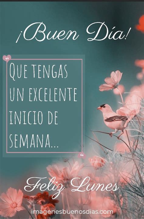 Feliz Inicio De Semana Imagenes De Feliz Lunes Im Genes Con Frases