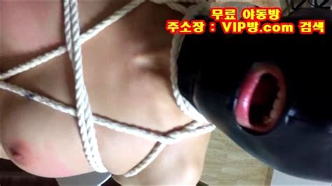 Watch 정조대 커플 Korean Bbw Anal Porn SpankBang