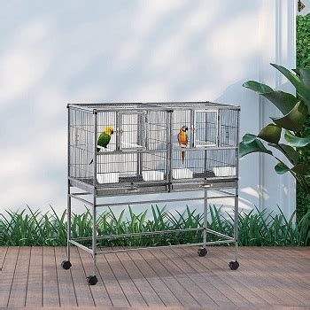 Best 6 Parrotlet Cages With Ideal Size, Design & Use Guide