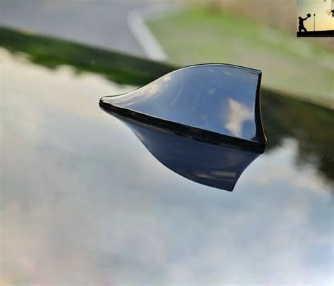car styling Car The shark decorations for Peugeot Volkswagen vw ford ...