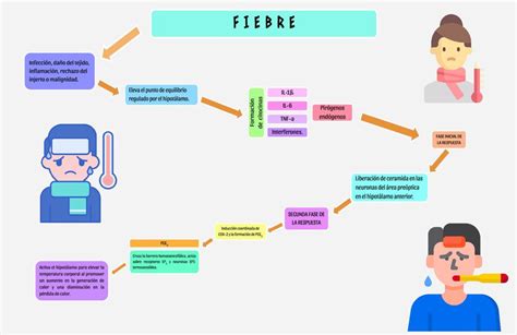 Miblogmedico Descubre Como Funciona La Fiebre Y Cuando Debes Llamar Al