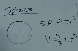 Biology Chapter 4 A Tour Of The Cell Flashcards Quizlet