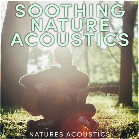 Soothing Nature Acoustics Album By Natures Acoustics Spotify