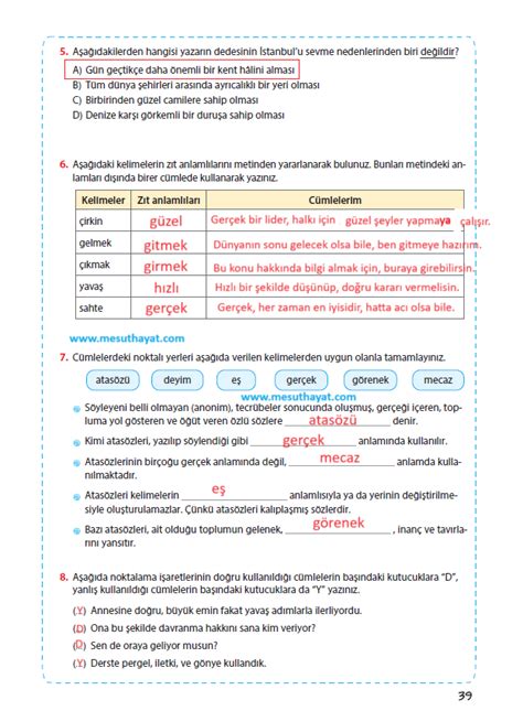 1 Tema Ölçme ve Değerlendirme Soruları Mesut Hayat Türkçe Dersi