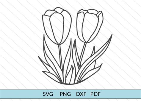 Tulips Svg Pink Tulip Flower Dxf Silhouette Tulips Vector Clipart