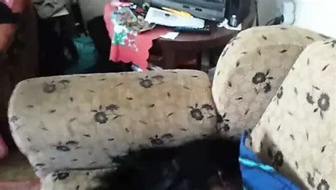 Jebanje Bosna Bosnian MILF Amateur Porn XHamster