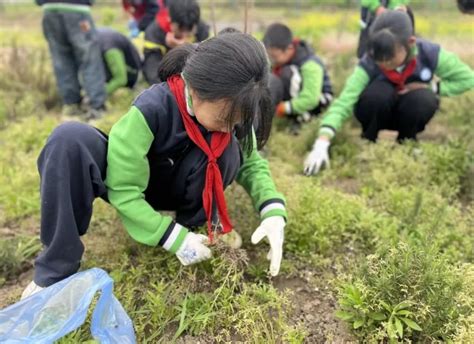 上好劳动课，还差哪几步？——劳动教育新课标实施两年效果观察 中国科技网