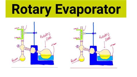 1.3 Rotary Evaporator Principle And Application