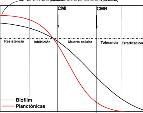 Supervivencia Microbiana En Biofilm Y Microorganismos Individuales Download Scientific Diagram