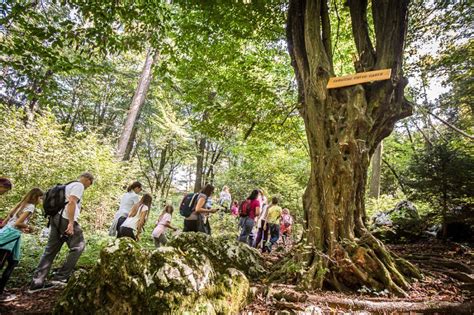 Turizem Ljubljana On Twitter Namig Za Izlet Odpravite Se Na Arobno