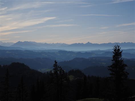 Growth Non Urban Scene Alpine Outdoors Plant Mountain Sneezing