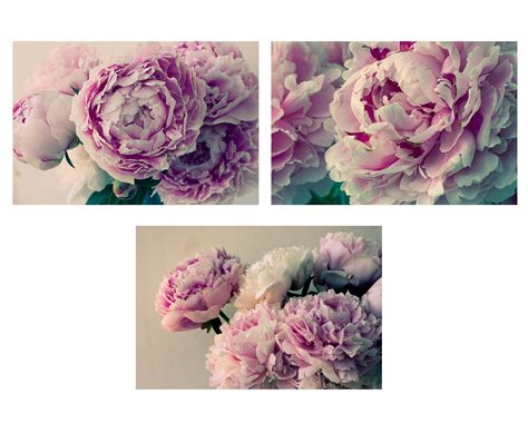 Peony Print Set Peony Art Peony Wall Decor Bedroom Art - Etsy